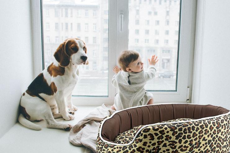 bambino con cane